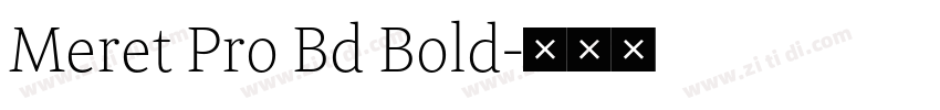 Meret Pro Bd Bold字体转换